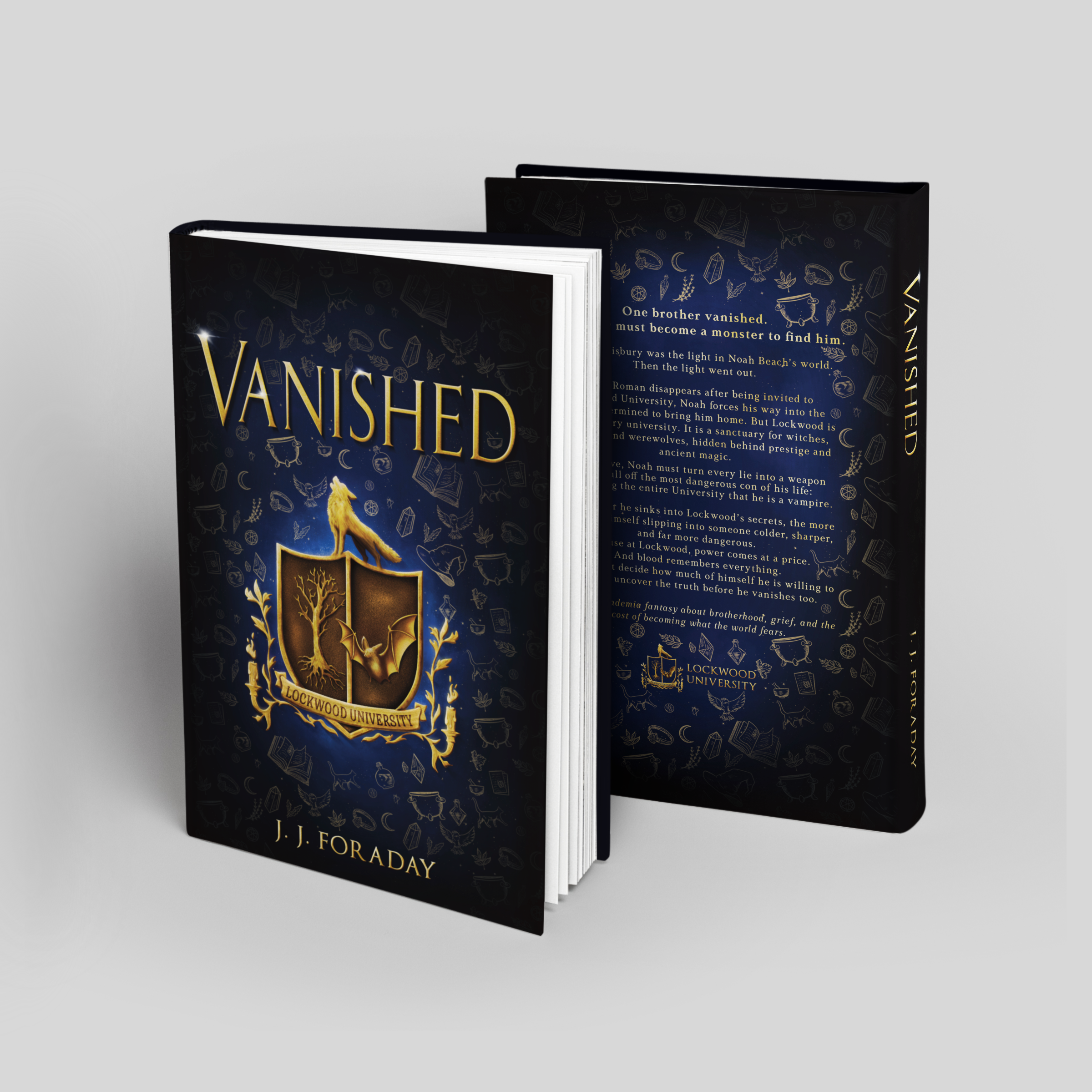 Vanished book cover